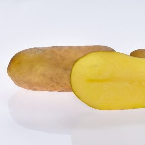 GOLDMARIE